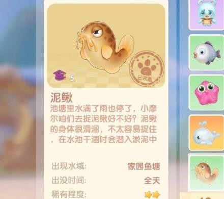 摩尔庄园泥鳅怎么钓