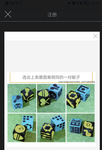 roblox鱿鱼游戏怎么注册 注册方法介绍