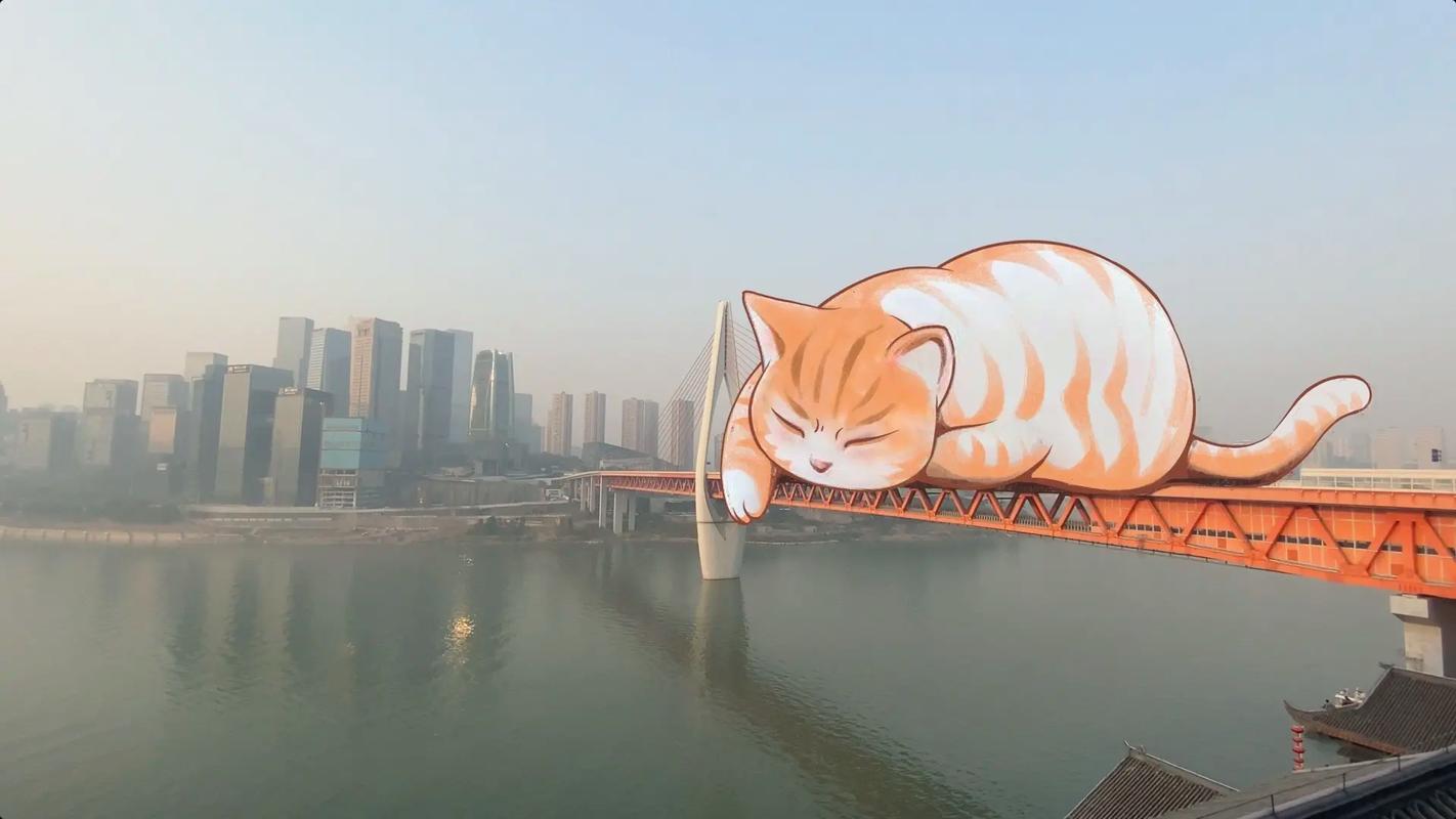 肥猫阅读小说