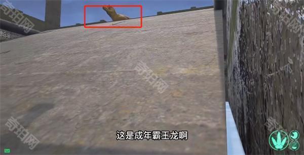 恐龙岛大猎杀