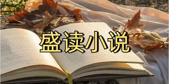 盛读小说app官方