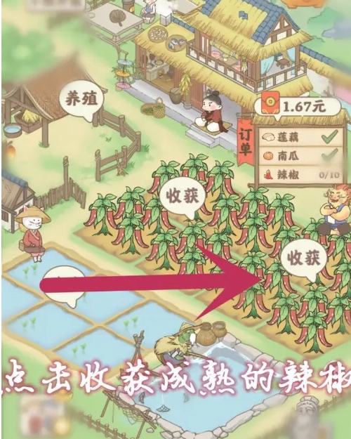 解锁辣椒种植3