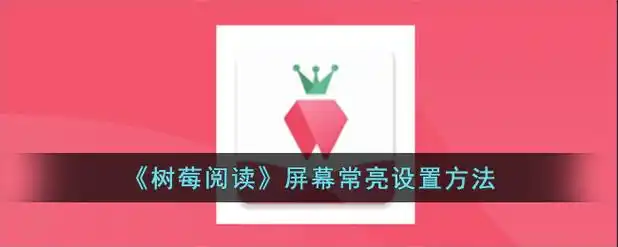 树莓阅读免费版本