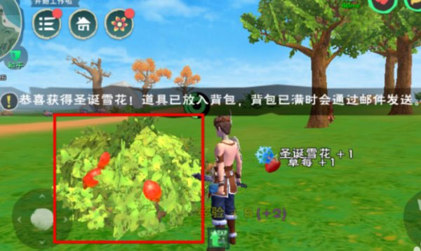 蜜桃果酱做法攻略截图1