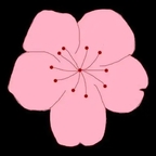 桃花视频最新版