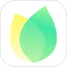 飞火动态壁纸app