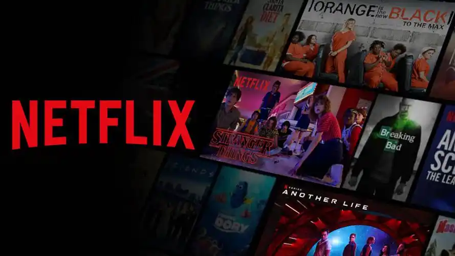 Netflix版本大全