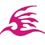 飞极速影院免费