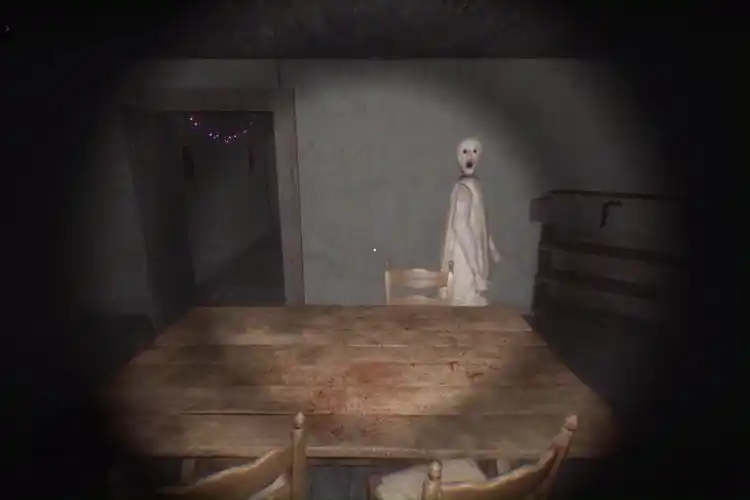 恐怖老奶奶双人联机版