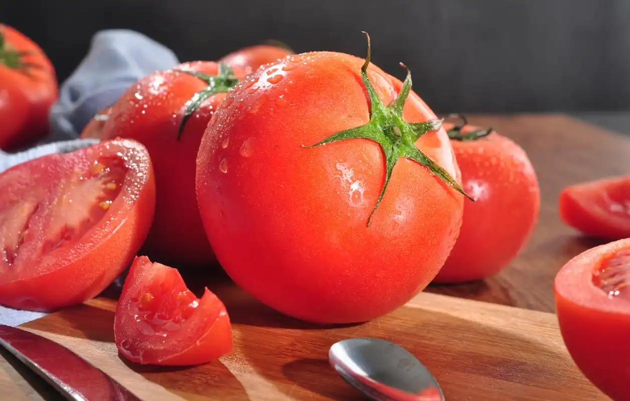 番茄影视大全追剧app推荐