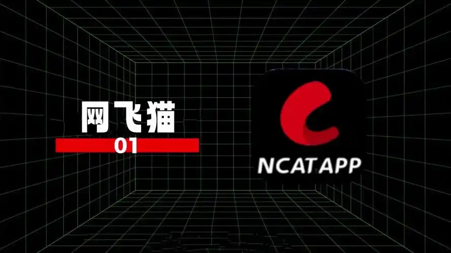 网飞猫全部版本