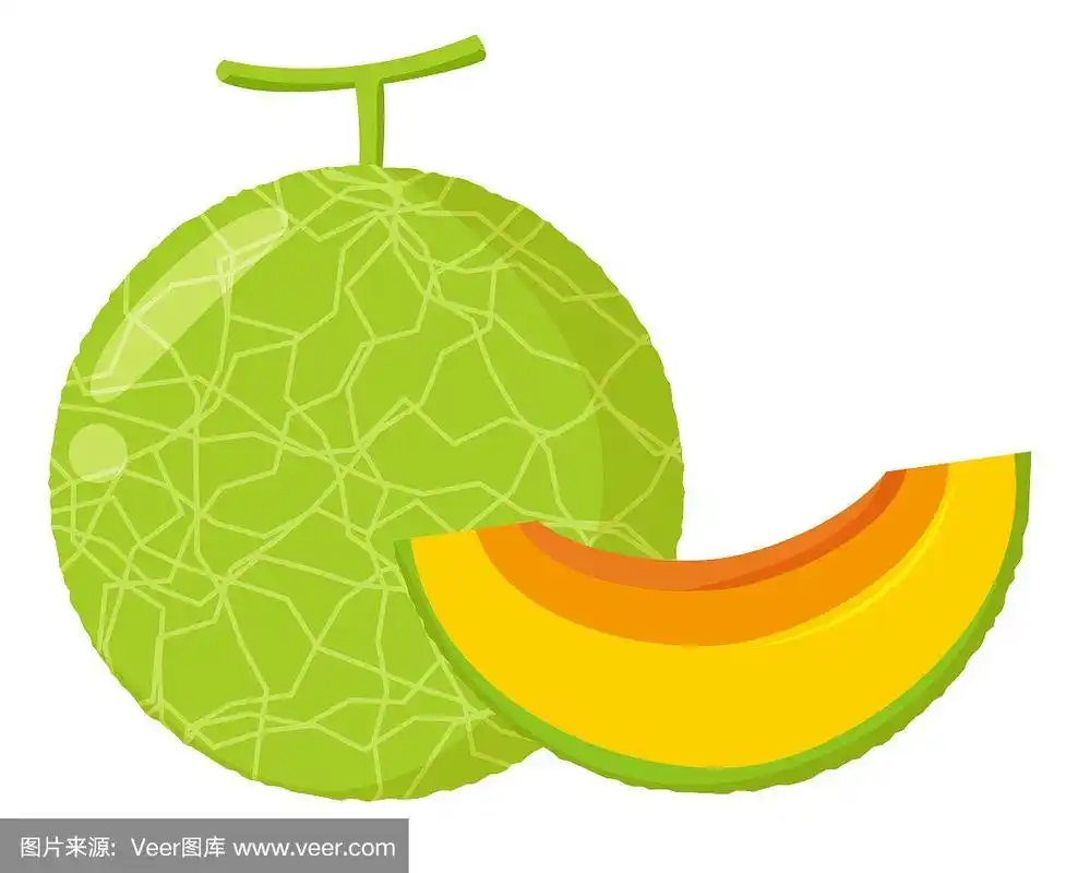 甜瓜小说免费版