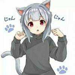 冷狐宝盒app最新版本