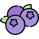 蓝莓音乐最新版 2.0