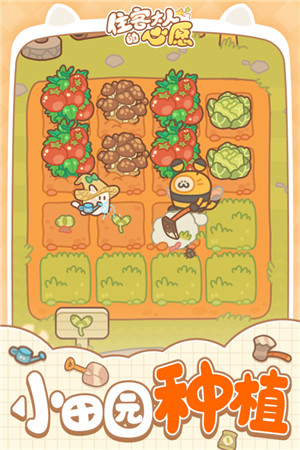 住客大人的心愿破解内购版下载截图2