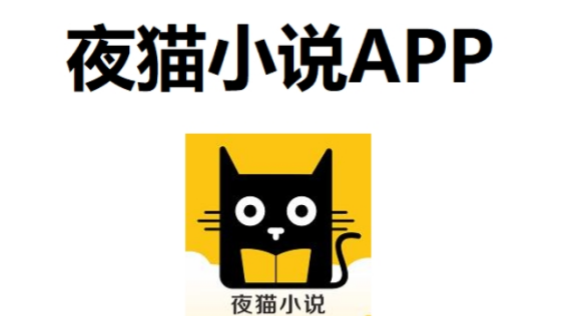夜猫小说无广告版