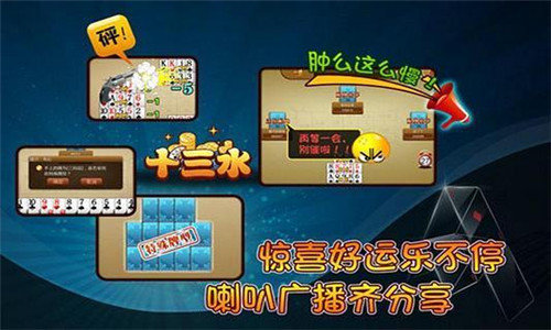 安岳长牌短牌斗十四