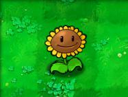 植物大战僵尸beta版