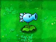 植物大战僵尸beta版