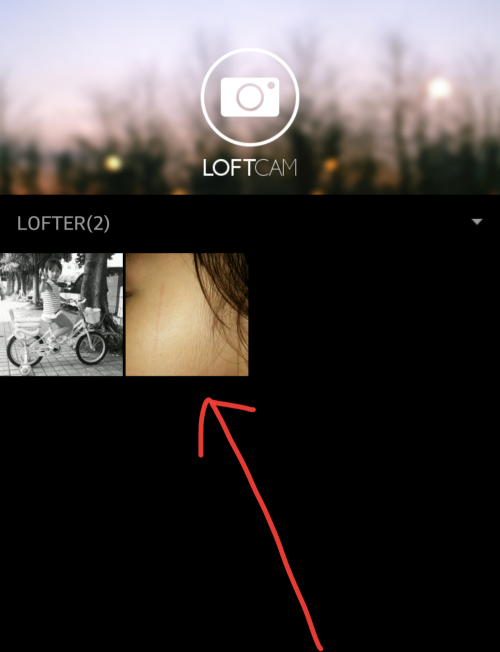 LoFi相机