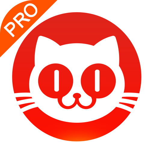 猫眼专业版实时票房 