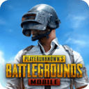 PUBG国际服 v3.3.0