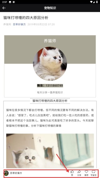 猫语翻译器