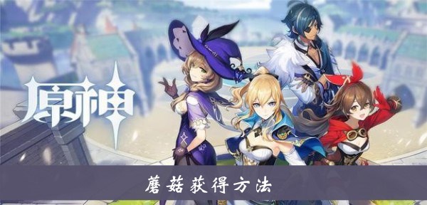 原神蘑菇在哪里采集多 蘑菇获取方法一览