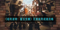 哈利波特魔法觉醒无期徒刑成就达成攻略