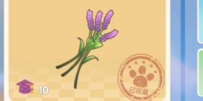 摩尔庄园薰衣草花梗怎么得-摩尔庄园薰衣草花梗位置介绍