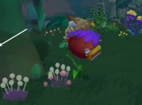 摩尔庄园人物怎么变大-摩尔庄园人物变大方法一览