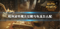 哈利波特魔法觉醒乌龟流卡组怎么搭配-乌龟流配卡思路分享