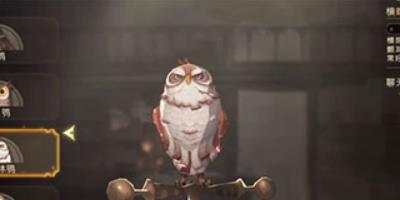 哈利波特魔法觉醒猫头鹰平A流卡组搭配攻略