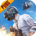 PUBG冰墩墩辅助器 v1.9