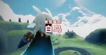 光遇白鸟版大全