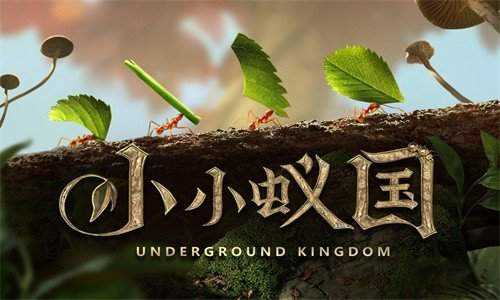 小小蚁国所有版本大全