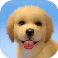 梦幻小狗 v1.0.3