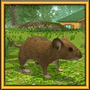疯狂地鼠城手游 v3.5.1