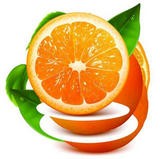 橙子视频app v1.3