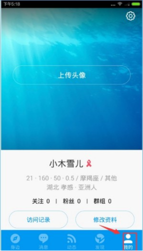 布鲁帝10