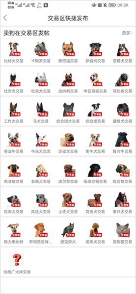 勐犬俱乐部app5