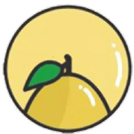 柚子相机安卓版