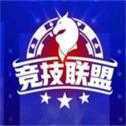竞技联盟德州官网