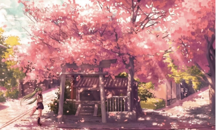 ehviewer绿色版1.9.9.9