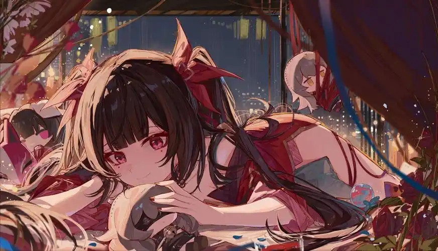 囧次元纯净版