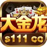 大金龙棋牌2025