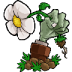 植物大战僵尸威化版免费
