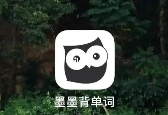 炭炭背单词app