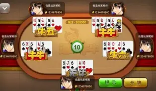 女子校园模拟器