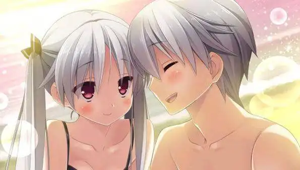 当鸟动漫无广告版